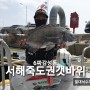 충남홍성 죽도권갯바위 6짜대물감성돔