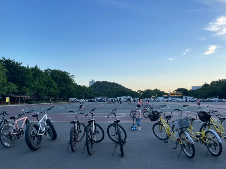 대구 야외 데이트 추천 : 두류 공원에서 2인용 자전거 타기