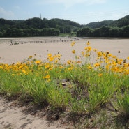 [경북 영주 가볼 만한 곳] "여기 어때? 우리 지금 영주!" - 효마루체험센터/ 부석사/ 꽃계마을/ 무섬마을/ 소수서원/ 순흥 벽화고분/ 여우 생태관찰원/ 관사골/ 인삼 박물관