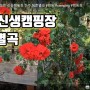 진주 청춘별곡 캠핑장 바베큐 진주캠핑장