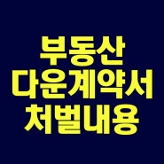 부동산 다운 계약서 처벌 관련 정보