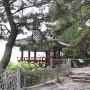 강원도 고성여행 가볼만한곳 : 천학정 고성해변 송지호