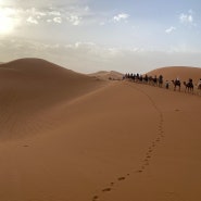 [모로코 여행]사막에서 살아남기🏜️ (4/28 ~ 5/2)