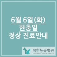 6월 6일(화) 현충일 정상진료안내 /반여동동물병원/반여착한동물병원/안락동동물병원/재송동동물병원/반송동물병원/강아지중성화/해운대구동물병원/강아지건강검진/부산피부전문동물병원