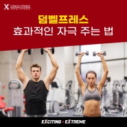 [가슴 운동] 덤벨프레스 효과적인 자극을 주는 운동 방법