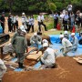 요시노가리 유적 석관묘 발굴조사 시작