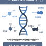 MBTI 테스트 DNA 성격 테스트 ENTP 성향