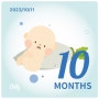 임신초기 임신 10주증상 11주증상