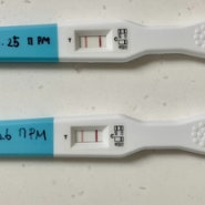 [임신 4주/5주] 임테기 확인·청담마리 첫 초음파