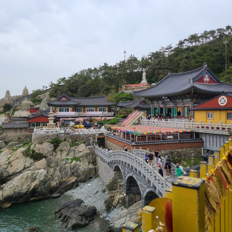 KTX부산여행 해동 용궁사 바다가 보이는 절 한가지 소원이 이루어지는 용궁사 : 네이버 블로그