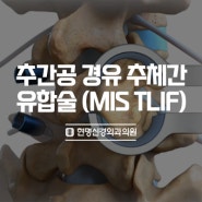 최소 침습 척추 수술, 추간공 경유 추체간 유합술 (MIS TLIF)
