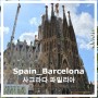 [스페인12_바르셀로나] 사그라다 파밀리아 둘러보기 가는법 예약