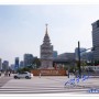 광화문광장 서울의 대표적인 광장으로 산책 코스로도 인기!
