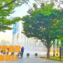 송상현광장 바닥분수 부산 진구 전포 양정 아이와 함께 가볼만한곳 물놀이터 잔디광장