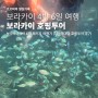 보라카이 호핑투어 인생 역대급 추천 후기! + 스노클링 준비물