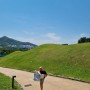 공주여행 공주 무령왕릉 국립공주박물관 - 공주산림휴양마을 휴양림