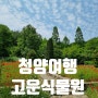 청양 여행지 고운식물원 다시 걷고 싶은 꽃길, 스릴만점 롤러슬라이드까지 아이와 함께 가볼만한 곳으로 추천