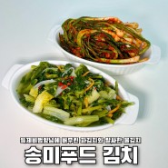특제비법양념으로 만든 파김치와 톡톡 쏘는 물김치 ' 송미푸드 김치
