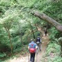 과천 서울대공원 산림욕장길, 동물원 둘레길 산책 추천