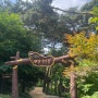 [전남 영광 가볼 만한 곳] 영광 물무산 행복숲 맨발 황톳길