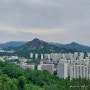 서울 걷기 좋은 길 안산자락길 일부 트레킹