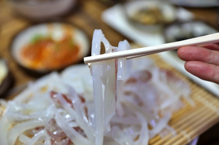 제주 서귀포 한치회 샤르르 입안에서 녹는 청정제주의 맛 으뜸입니다 : 네이버 블로그
