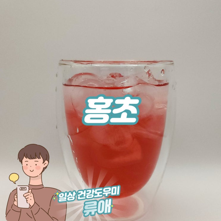 홍초 효능 및 칼로리, 부작용 : 홍초 다이어트 : 네이버 블로그