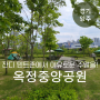 경기도 텐트 가능한 피크닉 명소 '옥정중앙공원' 주말에도 여유로워요 (+주차 정보)