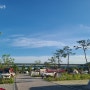 [6월의 캠핑] 충주 목계솔밭캠핑장 : 넓고 깨끗한 캠핑장!!