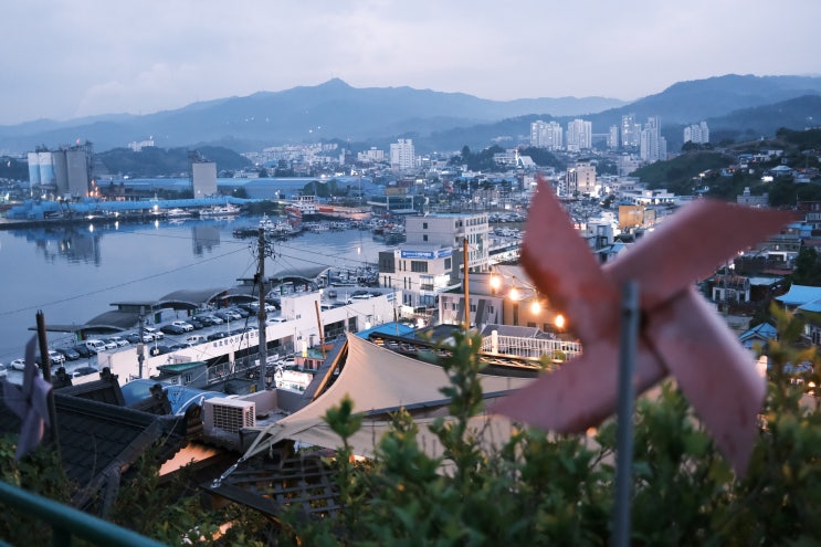 [강원도 동해] 묵호항 논골담길 / 묵호등대