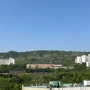 강북삼성병원 38주 1일 제왕절개 + 올리비움 산후조리원 후기