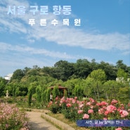 서울 가볼 만한 곳 푸른 수목원 장미가 예쁜 산책하기 좋은 길