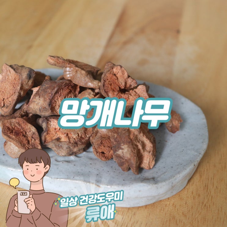 망개뿌리 효능 및 부작용 : 망개나무 열매, 토복령 : 네이버 블로그