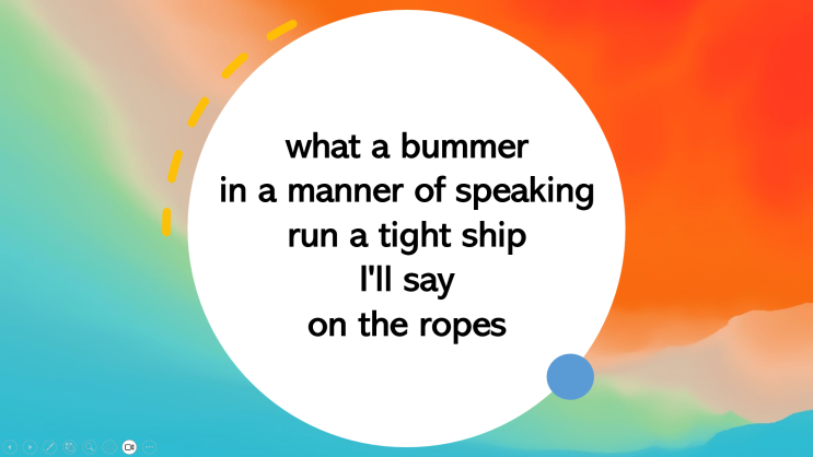 매일 영어 표현 what a bummer / in a manner of speaking / run a tight ship / I ...