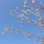 [빛가람호수공원] 봄볕이 따사로운 베멧산 공원｜봄산책 명소