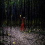 <반딧불이>: 구룡마을 대나무숲에서 만난 반딧불이!