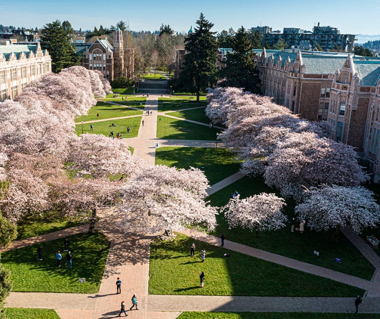 university-of-washington-seattle-global-business