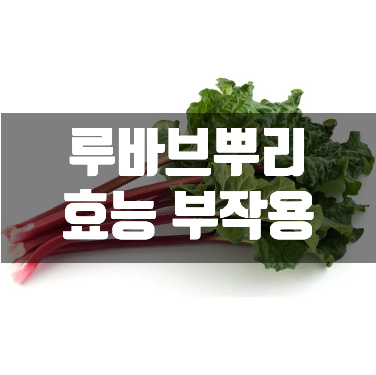 루바브뿌리 효능, 부작용, 추천제품 - 갱년기 특허원료 ERr 731® : 네이버 블로그
