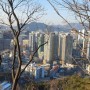 공동주택 건립 지구단위계획 시 높이 완화 및 공공기여(서울시)