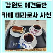 강릉 애견 동반 카페 테라로사 사천 점 테라스