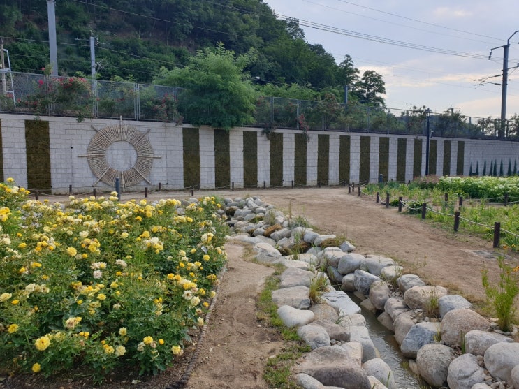 대구 수성구 가볼만한곳 산책하기좋은 생각을 담는 정원