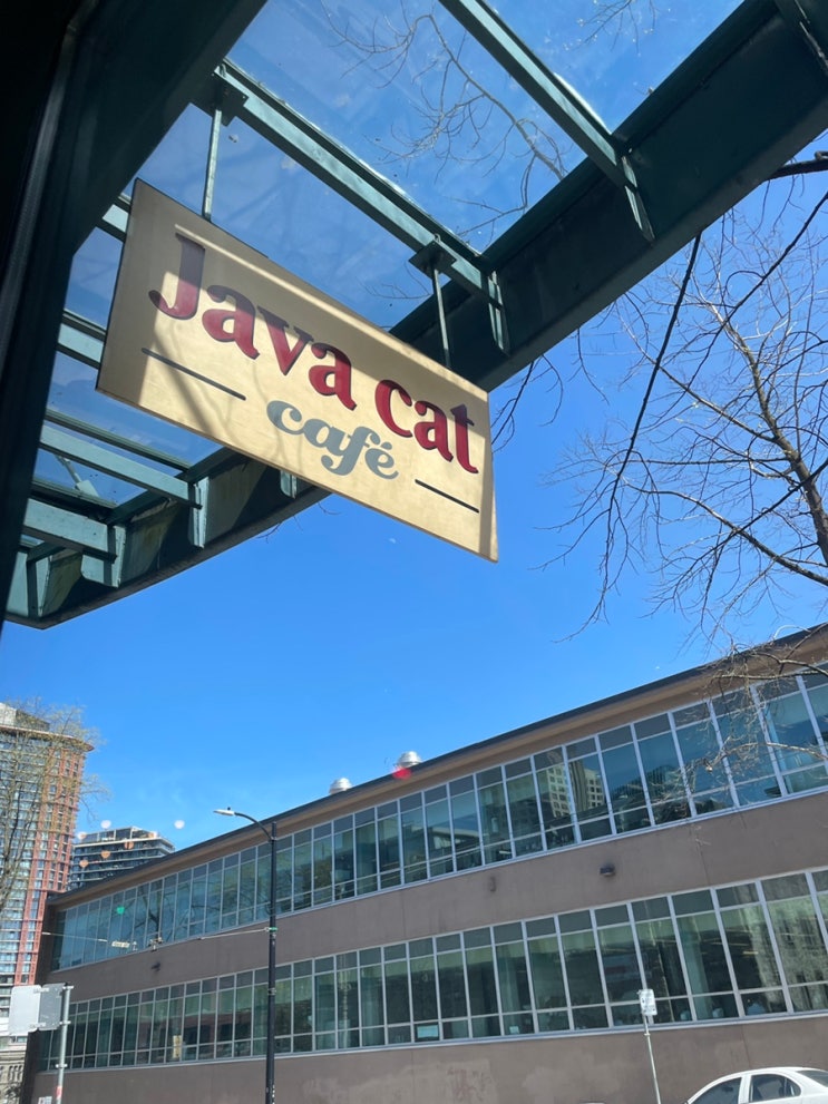 밴쿠버 다운타운 카페 맛집 :: Java Cat cafe 아이스 아메리카노 추천 : 네이버 블로그