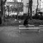 [Leica M10-D] Street Photography