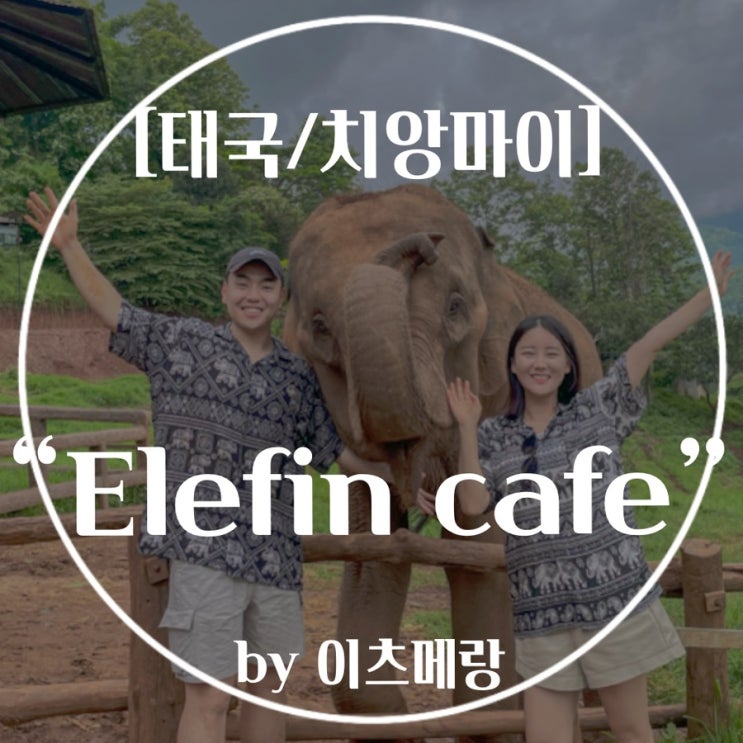 [태국카페/치앙마이카페] 코끼리들이랑 놀 수 있는 코끼리카페“Elefin farm&cafe” : 네이버 블로그