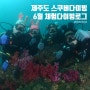 [제주도 스쿠버다이빙] 체험다이빙 6월 로그_마코다이브
