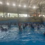 평창 오션700 워터파크 ; 아이와 파도타기 좋은 수영장