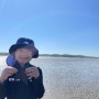 2023-4 태안 맛조개 체험!! 2박 3일 태안 갯벌체험 여행(2) 알면 보이는 맛조개!