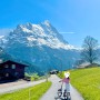 스위스만 3번째. 스위스 일주 자유여행 계획 일정표, 여행 예산 세우기 / 준비하기