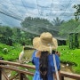 ⑪ 말레이시아 여행일지 :: 쿠알라룸푸르 여행코스 추천, 버드파크 새 공원(KL Bird Park)