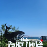 울산 장생포 고래 고래 고래 🐳 라벤더 수국